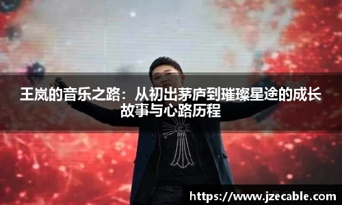 王岚的音乐之路：从初出茅庐到璀璨星途的成长故事与心路历程